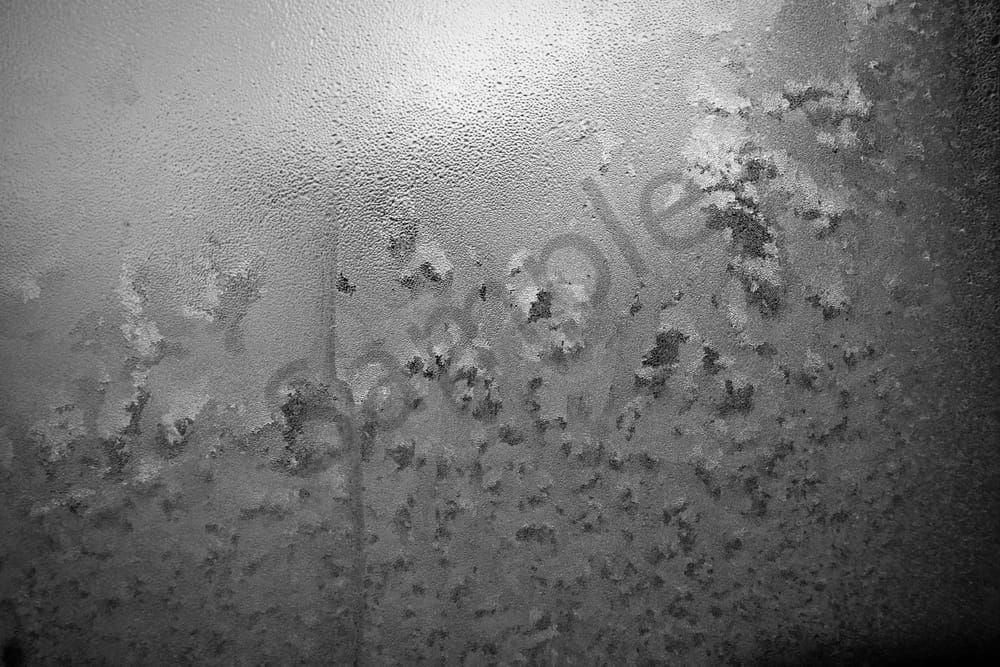 Winter Morning Frost Ii Photography Art | Radiant Imagination Media, LLC