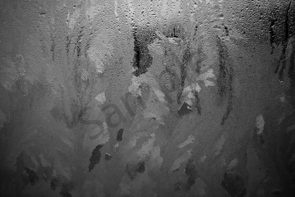 Winter Morning Frost Photography Art | Radiant Imagination Media, LLC