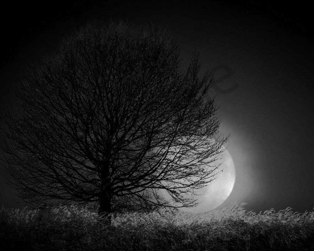 Moonrise with Tree