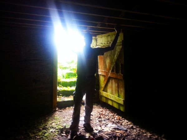 Silhouettes