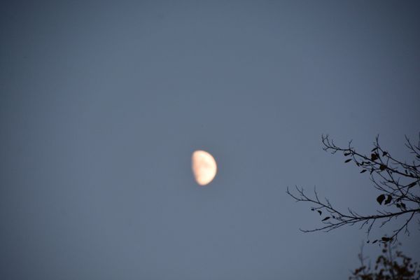 Moon