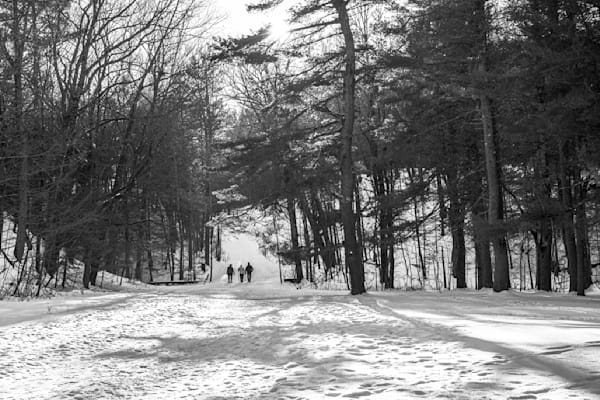 Winter Serenity