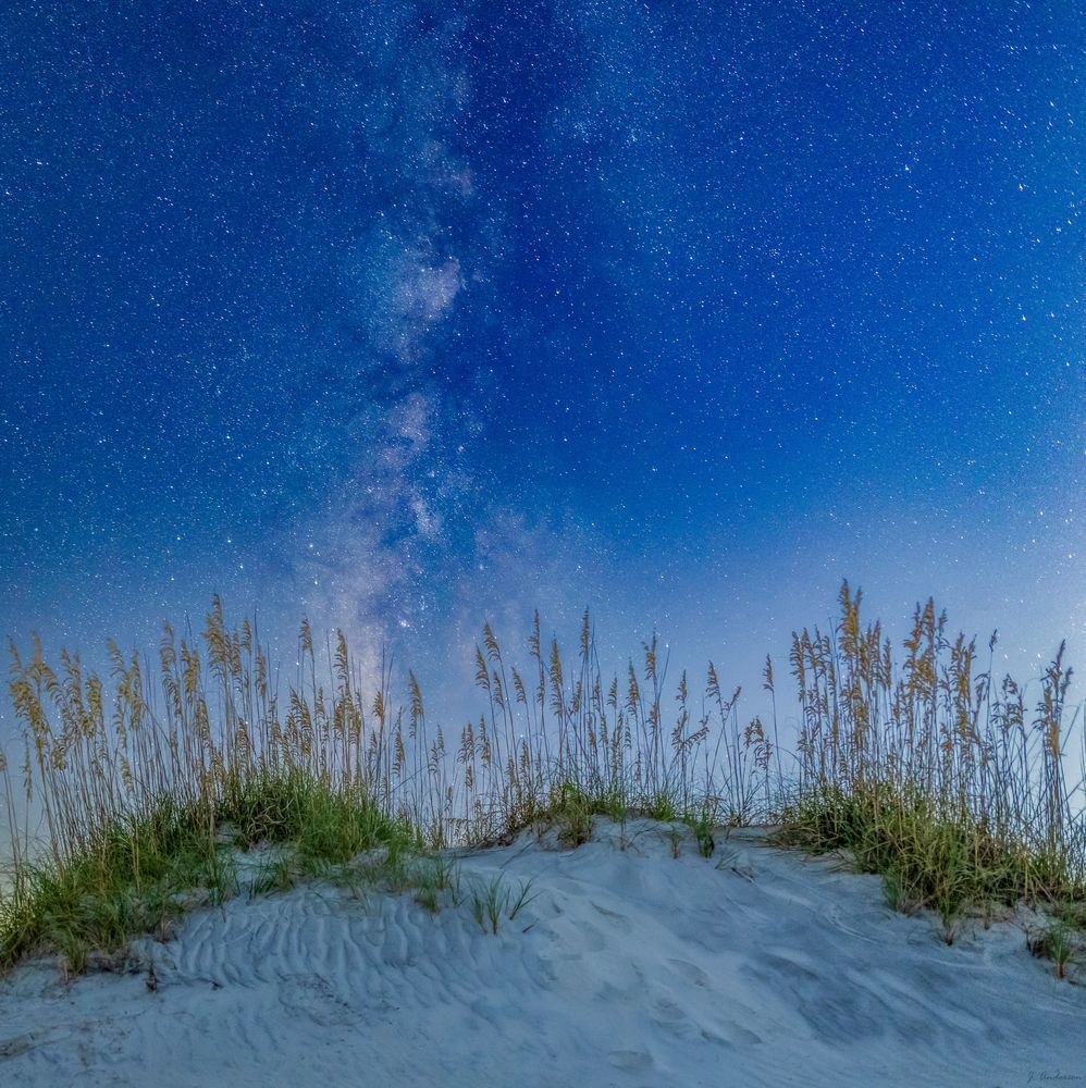 Sea Oats and Stars