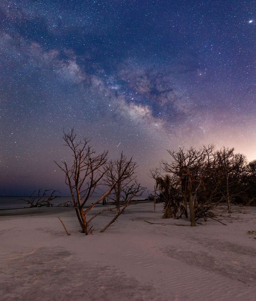 Starry Night on Driftwood Beach