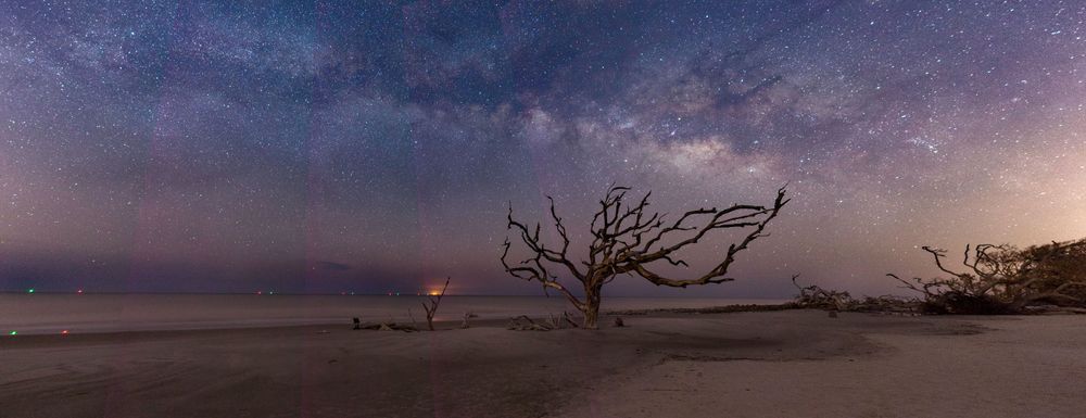 Driftwood Beach at Night Panorama