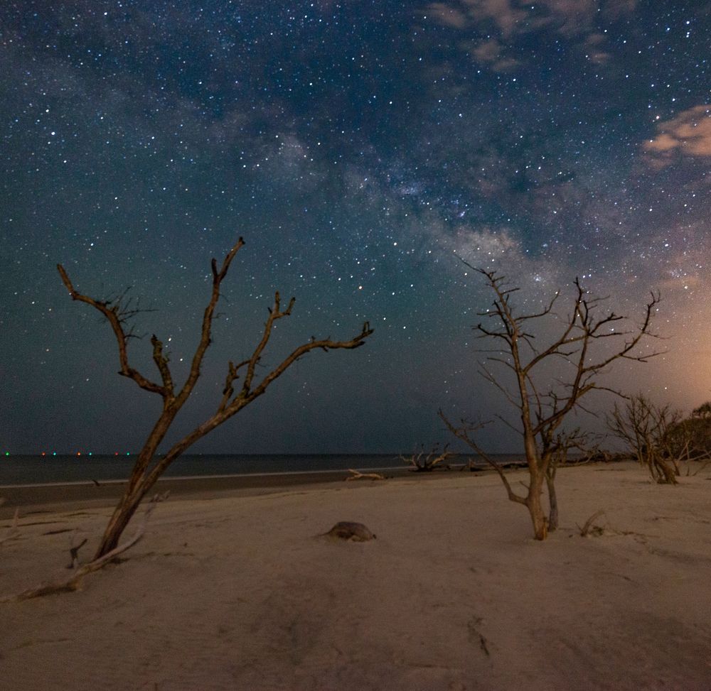 White Sands and Night Skies