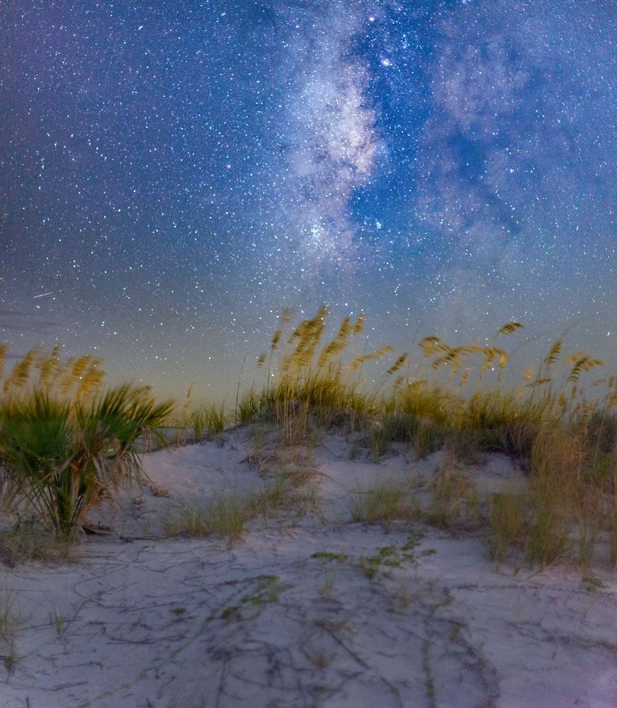 Sea Oats, Sand, and Stars