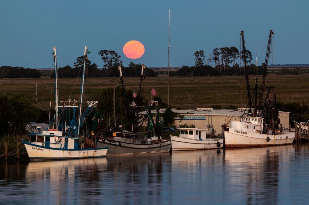 Full Moon in Darien