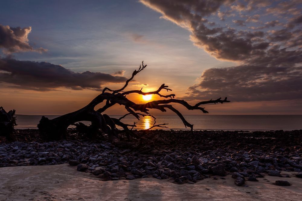 Sunshine and Driftwood on the Rocks