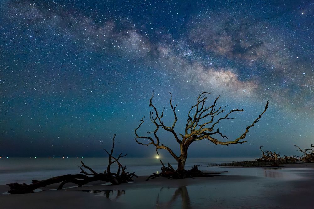 Driftwood Beach at Night 2
