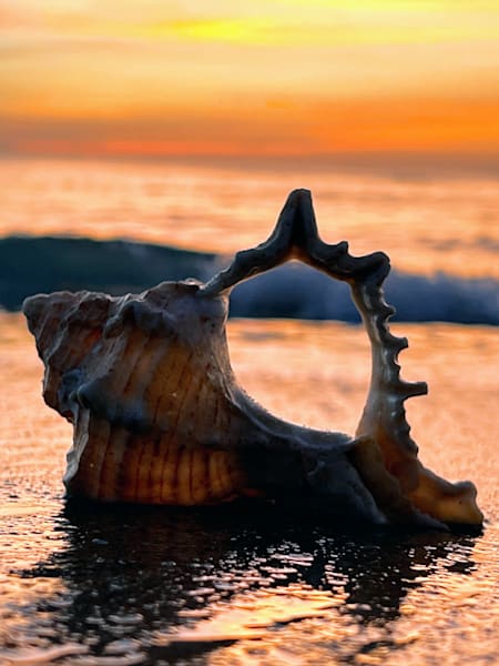 Brilliantly Imperfect