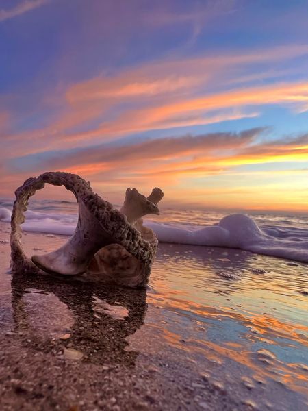 Broken and Beautiful