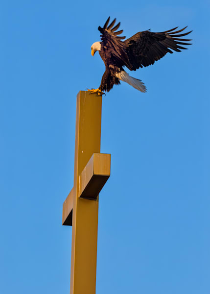 Sign From God Art | Birdman Co.