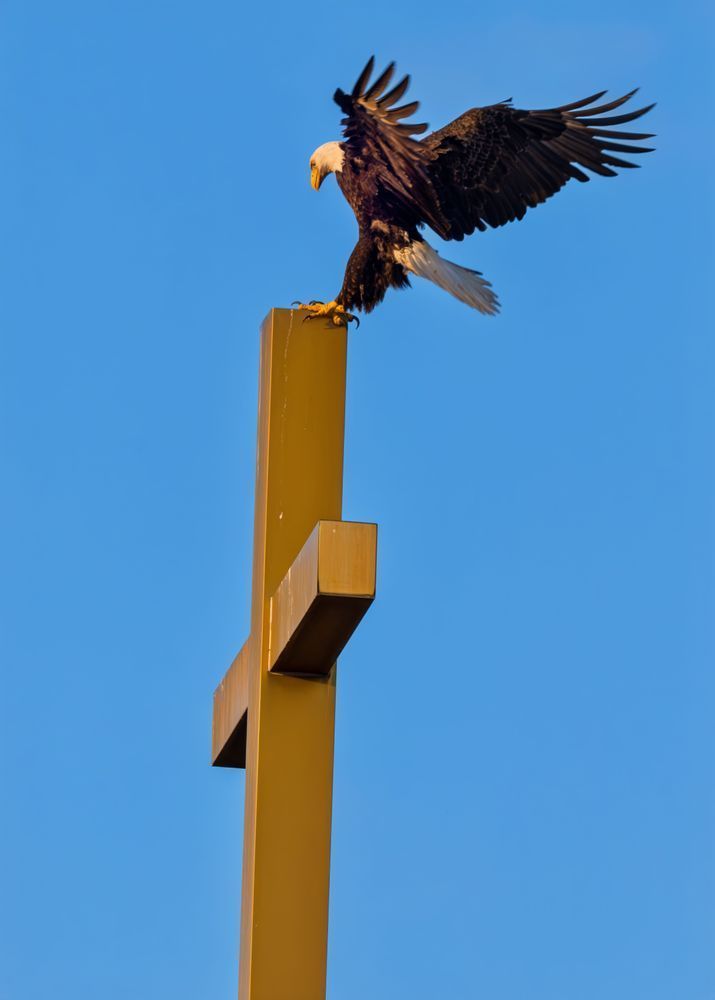 Sign From God Art | Birdman Co.