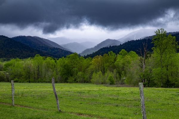 Landscapes