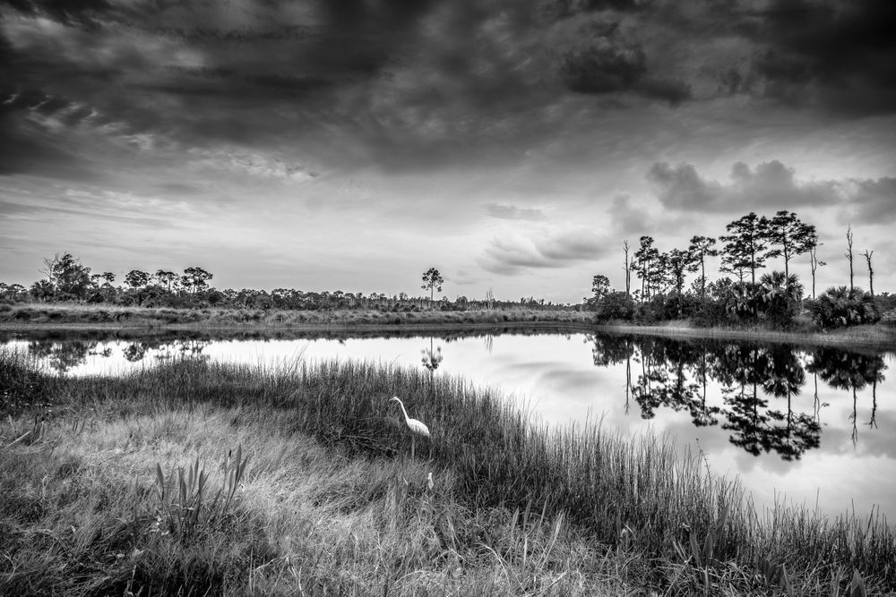 Naples Botanical Gardens Florida | FL | Photos