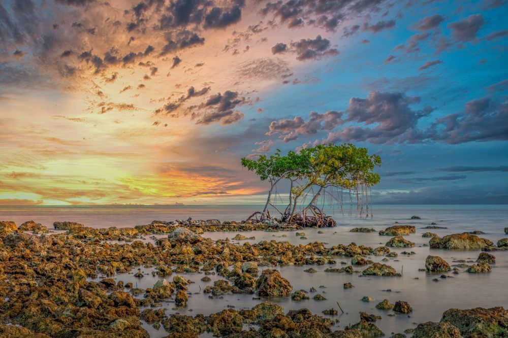 Florida Keys Pictures | Photos | Images | FL