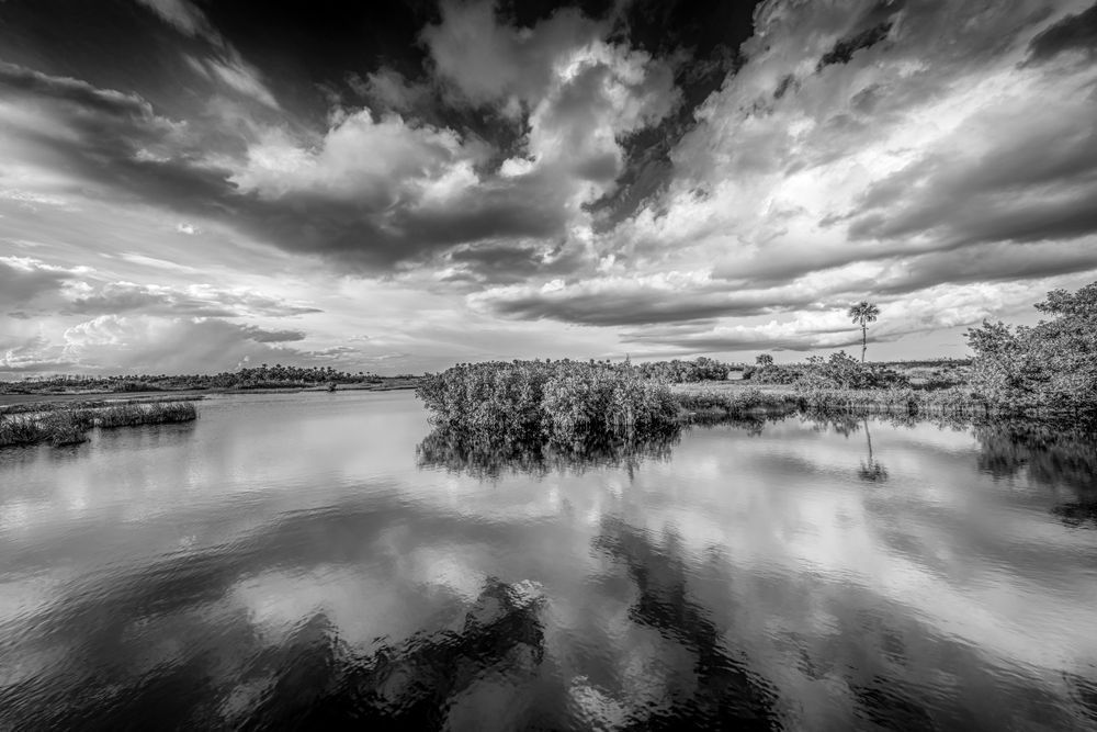 The Everglades National Park | Photos | Images | Pics | Art