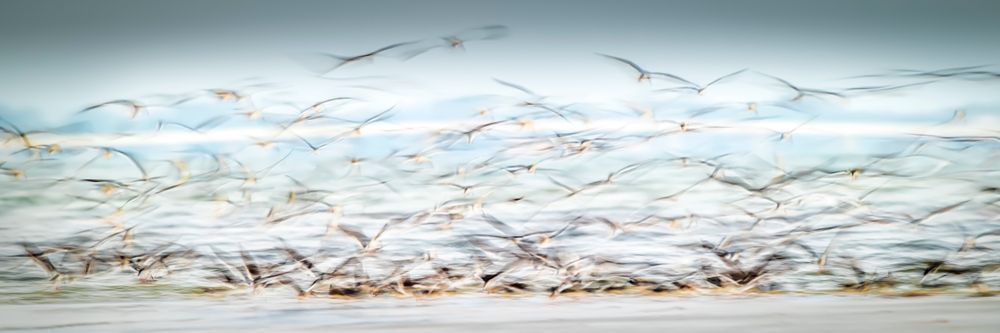 Bids | Photos | Pictures | Images | Pics | Wallpapers | Wall Art