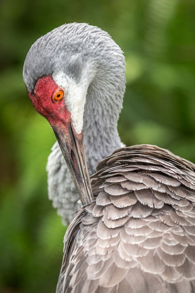 Bids | Photos | Pictures | Images | Pics | Wallpapers | Wall Art