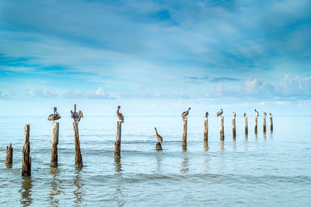 Bids | Photos | Pictures | Images | Pics | Wallpapers | Wall Art