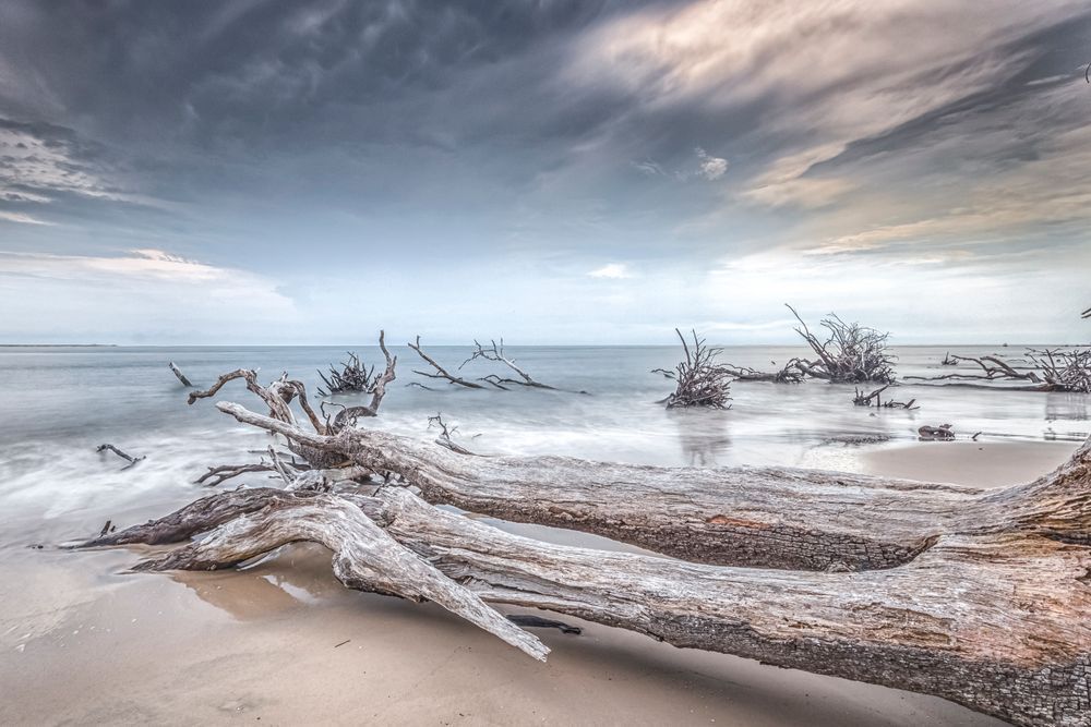 Big Talbot Island State Park​ | Jacksonville | Florida | FL