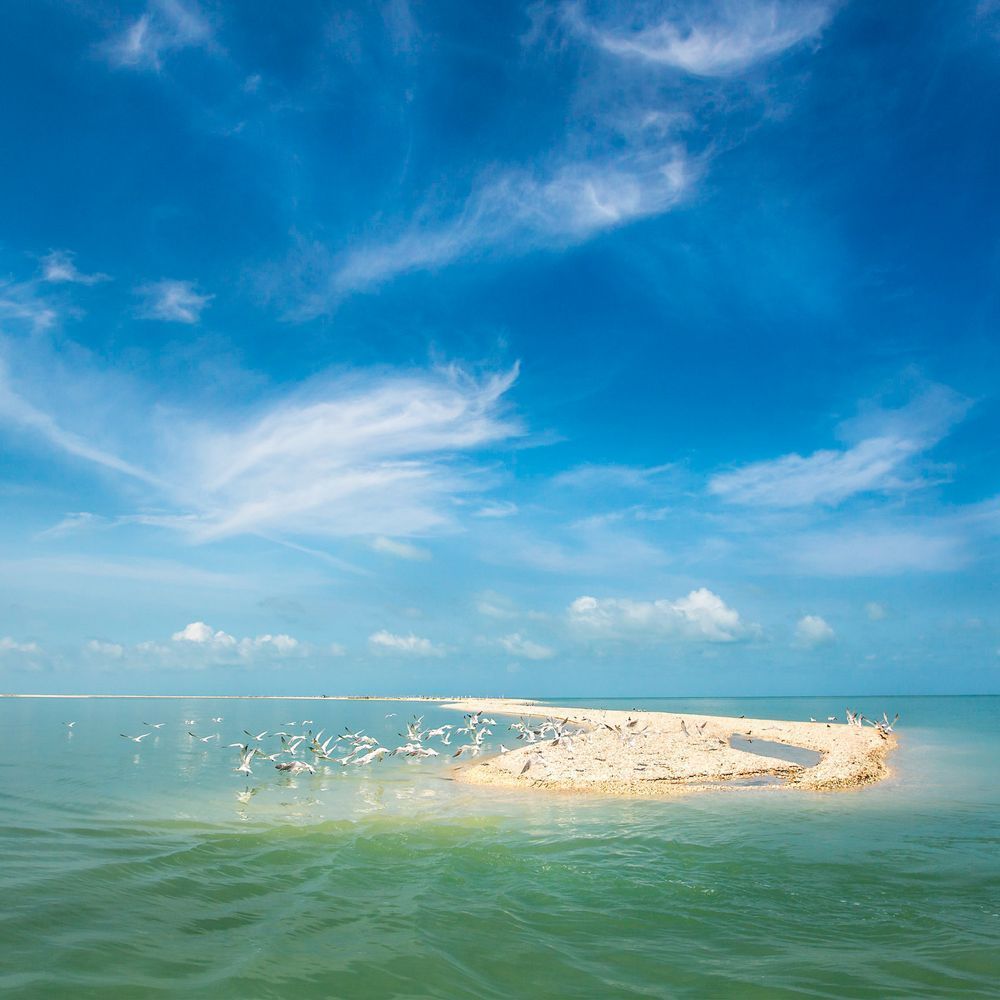 Cape Romano Island | Florida | FL | Dennis Goodman Photography