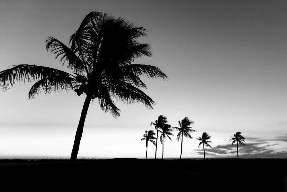 Captiva Sunset Island | Florida | FL