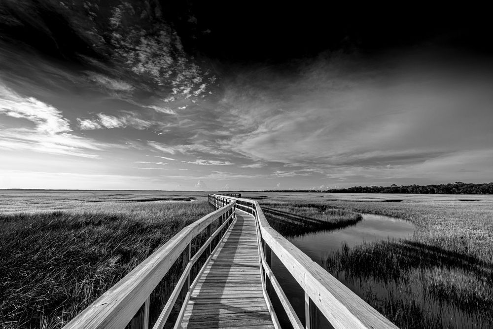Amelia Island | Photos | Pictures | Images | Pics