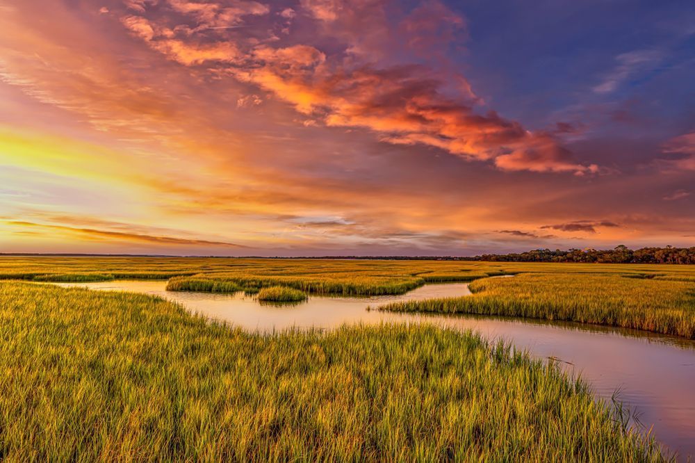 Amelia Island | Photos | Pictures | Images | Pics