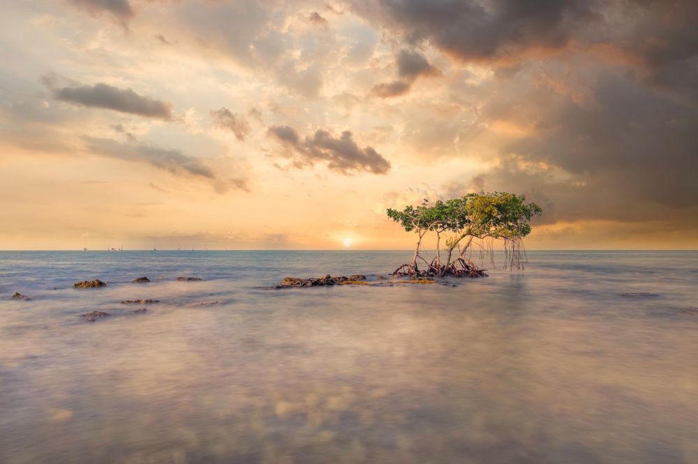 Florida Keys Pictures | Photos | Images | FL