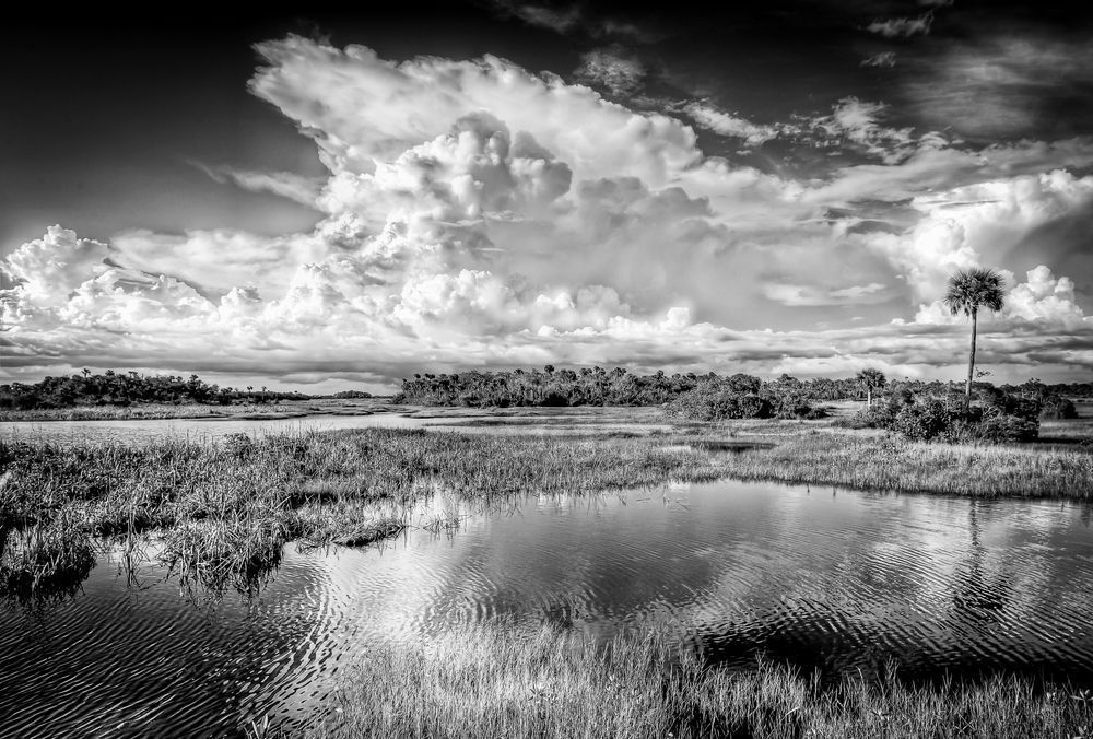 The Everglades National Park | Photos | Images | Pics | Art