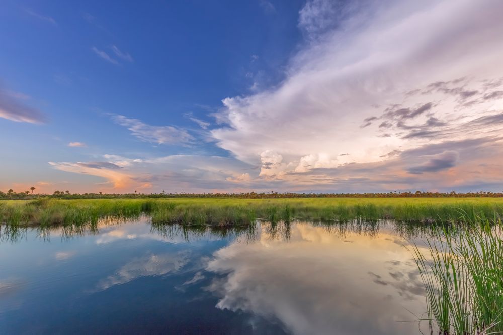 The Everglades National Park | Photos | Images | Pics | Art