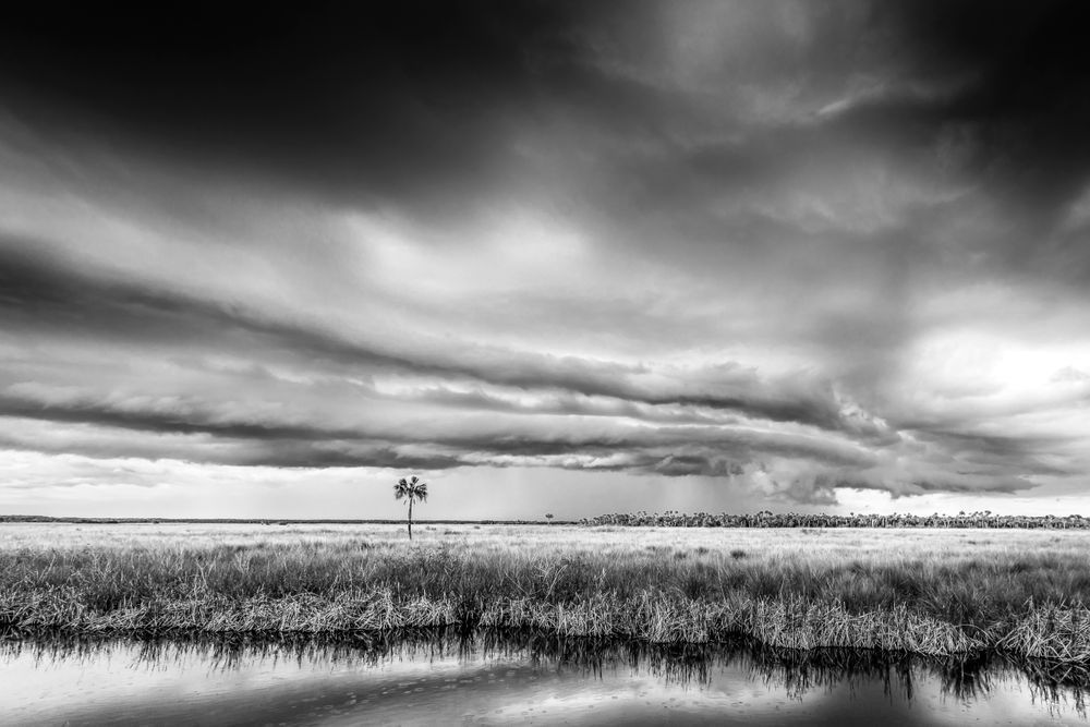 The Everglades National Park | Photos | Images | Pics | Art