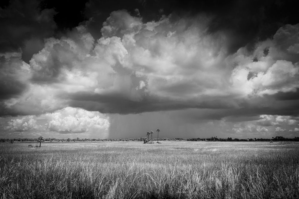 The Everglades National Park | Photos | Images | Pics | Art