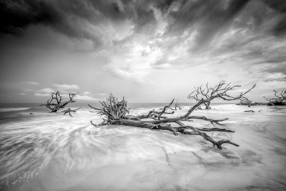 Jekyll Island Photos B&W  | Images | Georgia | GA | Pics