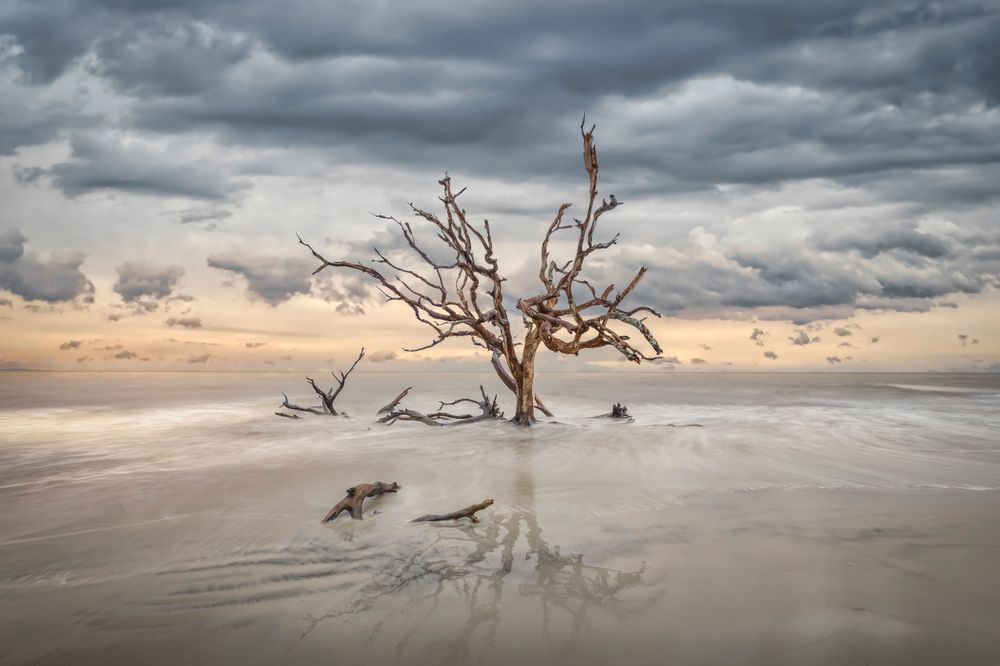 Jekyll Island 28 Photography Art | Dennis Goodman Photography, Inc.