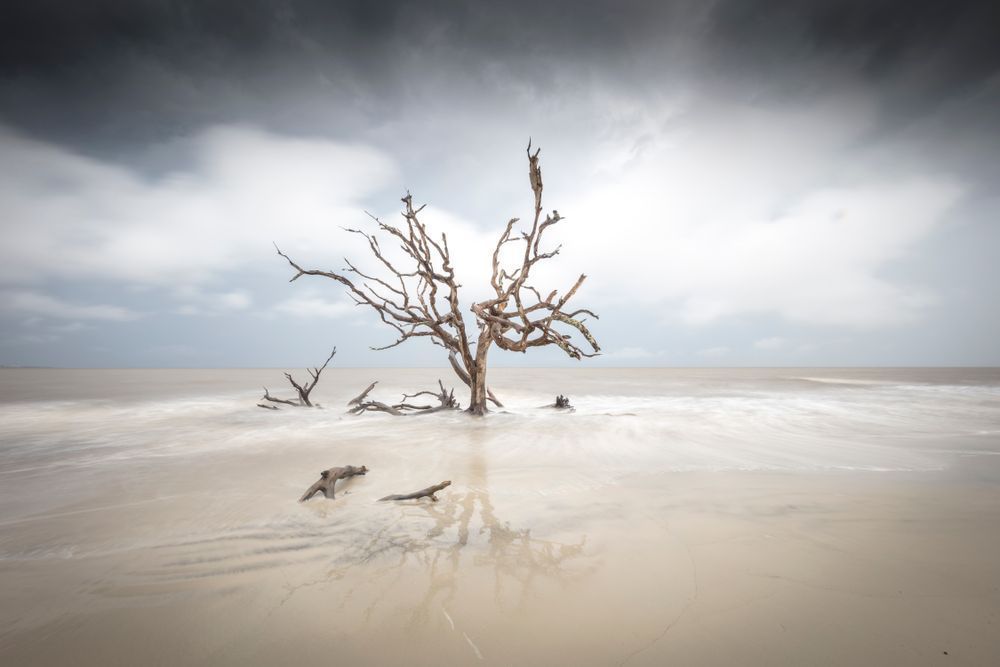 Jekyll Island Photos | Images | Georgia | GA | Pics