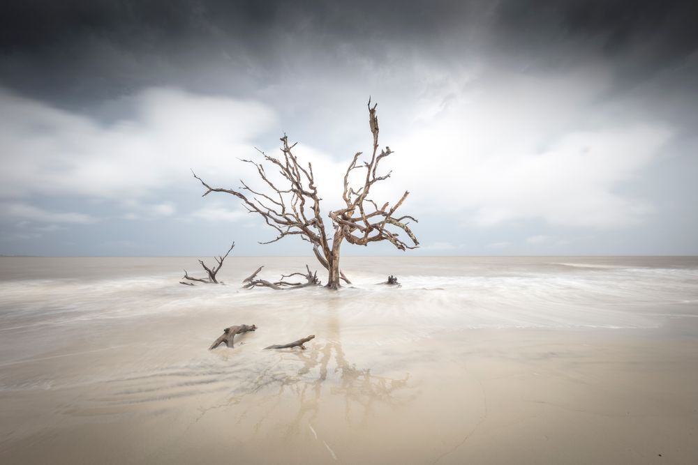 Jekyll Island Photos | Images | Georgia | GA | Pics