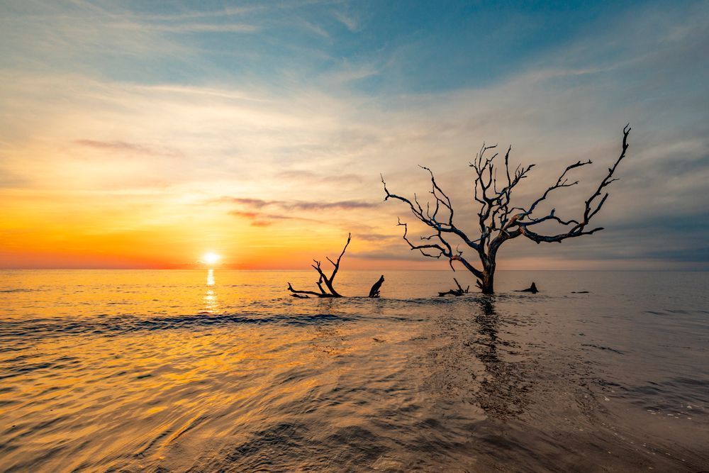 Jekyll Island Photos | Images | Georgia | GA | Pics