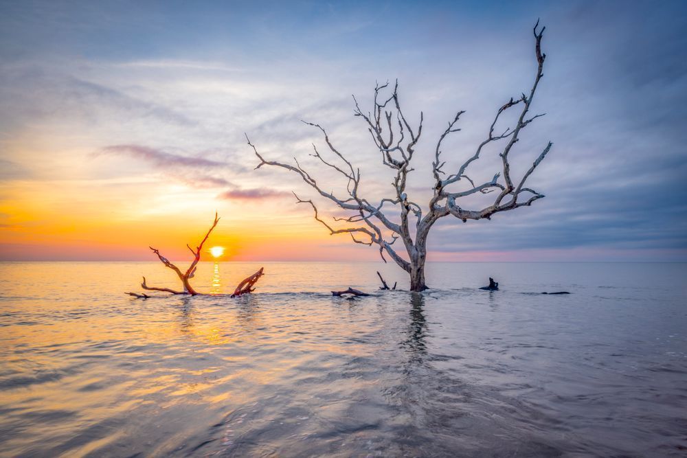 Jekyll Island Photos | Images | Georgia | GA | Pics