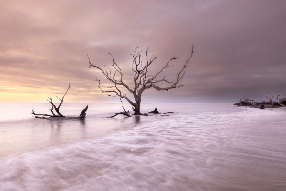 Jekyll Island Photos | Images | Georgia | GA | Pics