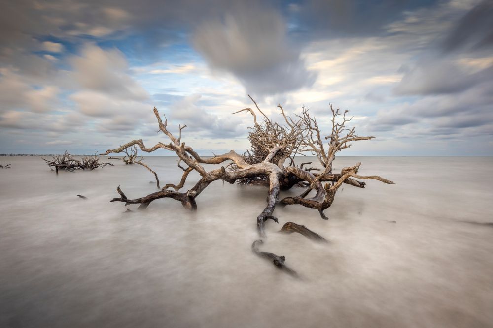 Jekyll Island Photos | Images | Georgia | GA | Pics