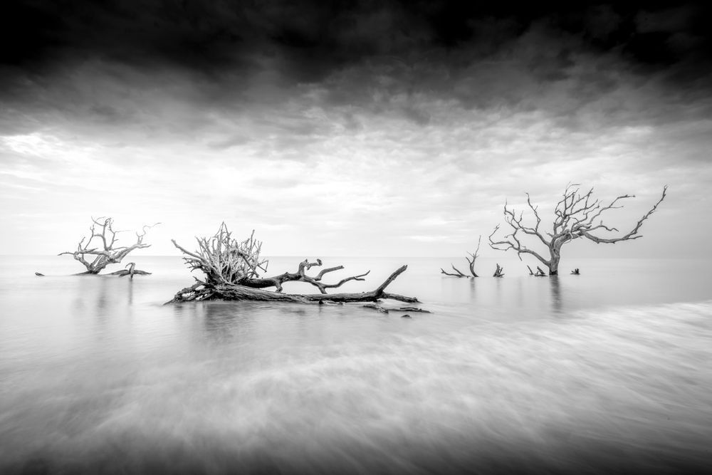 Jekyll Island Photos B&W | Images | Georgia | GA | Pics