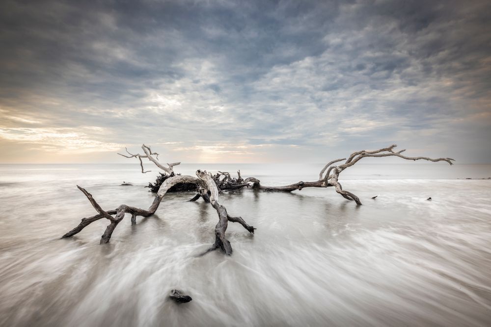 Jekyll Island Photos | Images | Georgia | GA | Pics