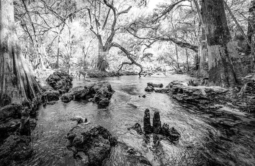 Hillsborough River State Park Photos | Tampa | Florida | FL