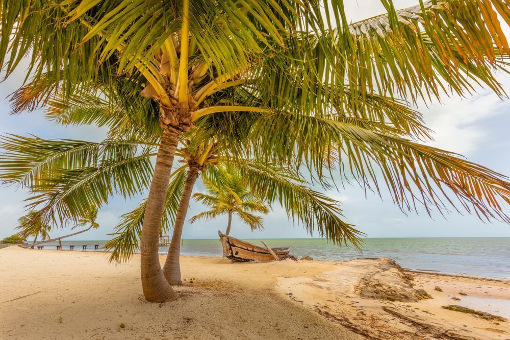 Islamorada Images | Pics| Florida| FL | Robbie's