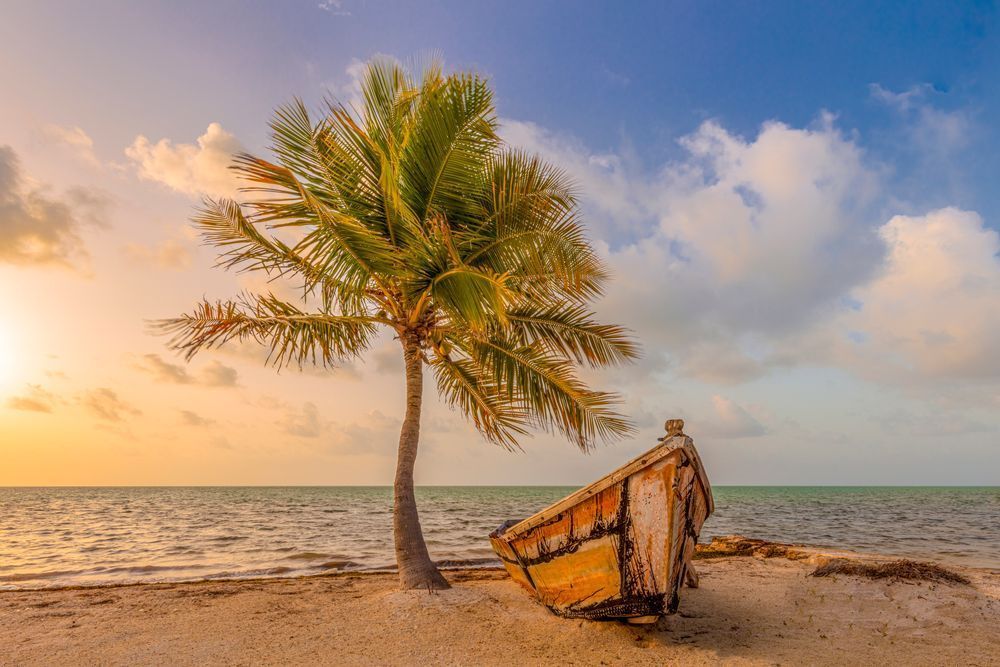 Islamorada Images | Pics| Florida| FL | Robbie's