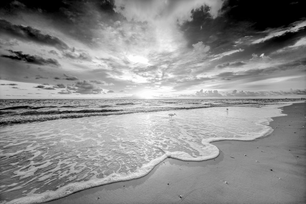 Ibis Images | Pics | Sunset | Dennis Goodman Photography