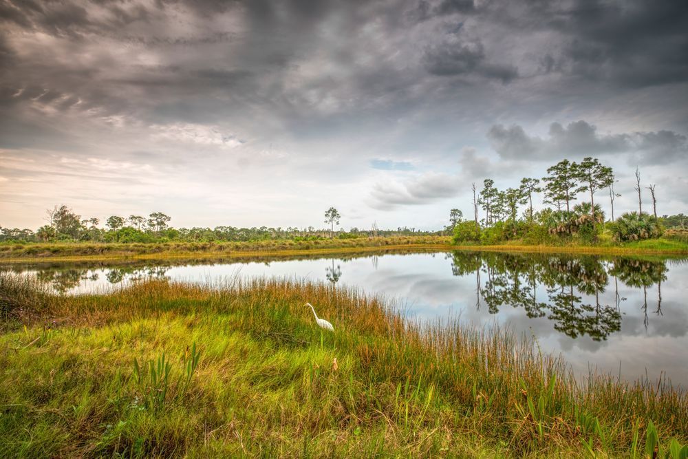 Naples Botanical Gardens Florida | FL | Photos
